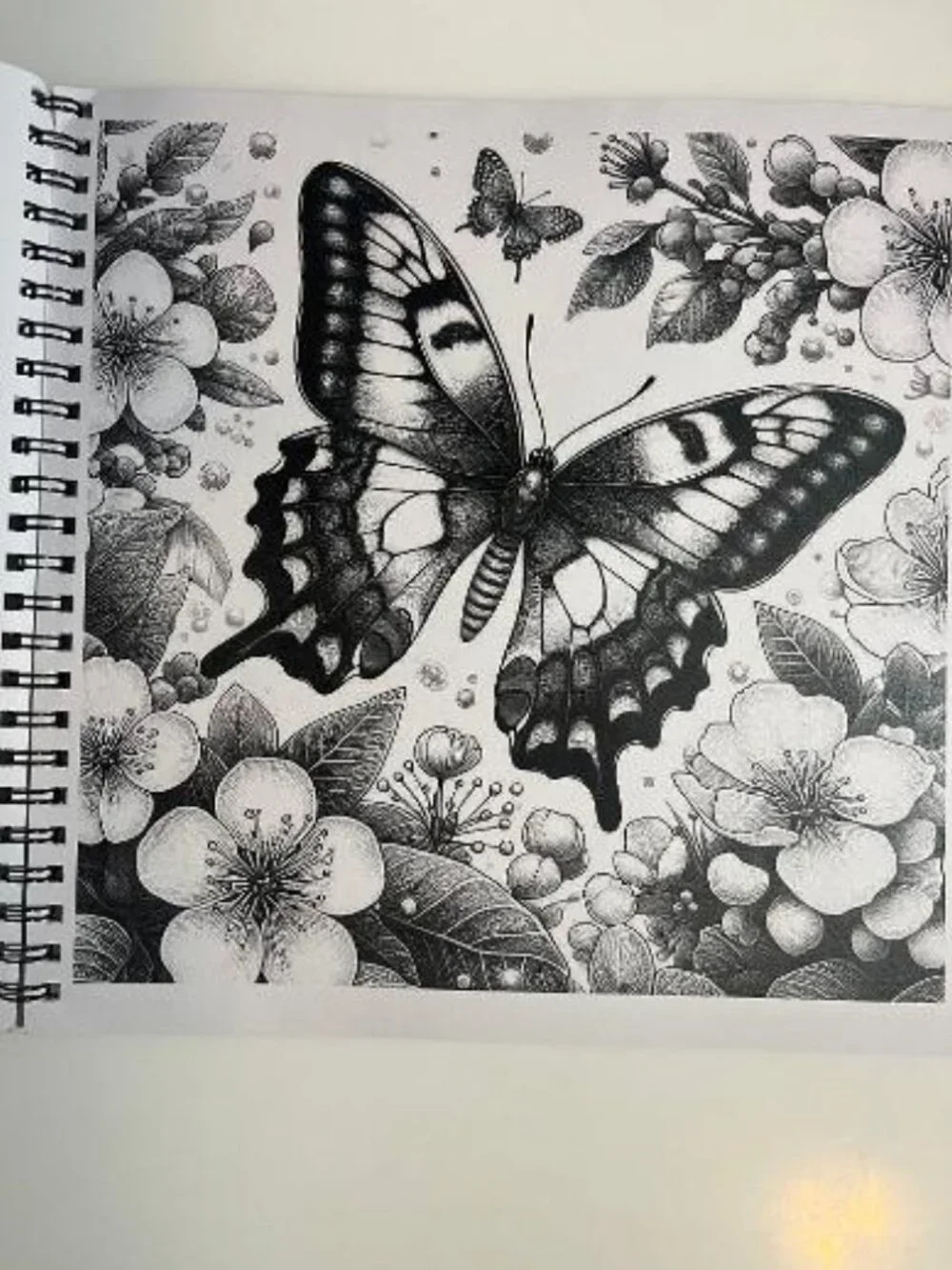 #COLOR-5 Butterfly Adult Coloring Book